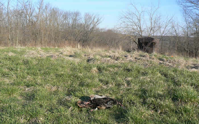 Successful blind location First Illinois Season 2009